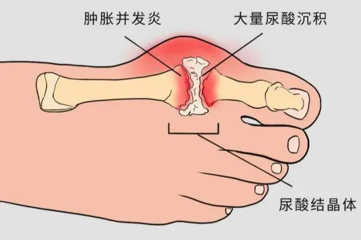 图片 6.png