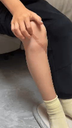 微信图片_20241029161028.gif